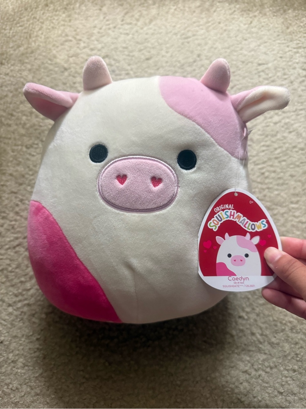 Squishmallows Caedyn the Cow (Valentine’s Day) 8 inches!